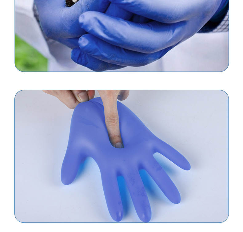 Purple Nitrile Gloves Purple Nitrile Gloves